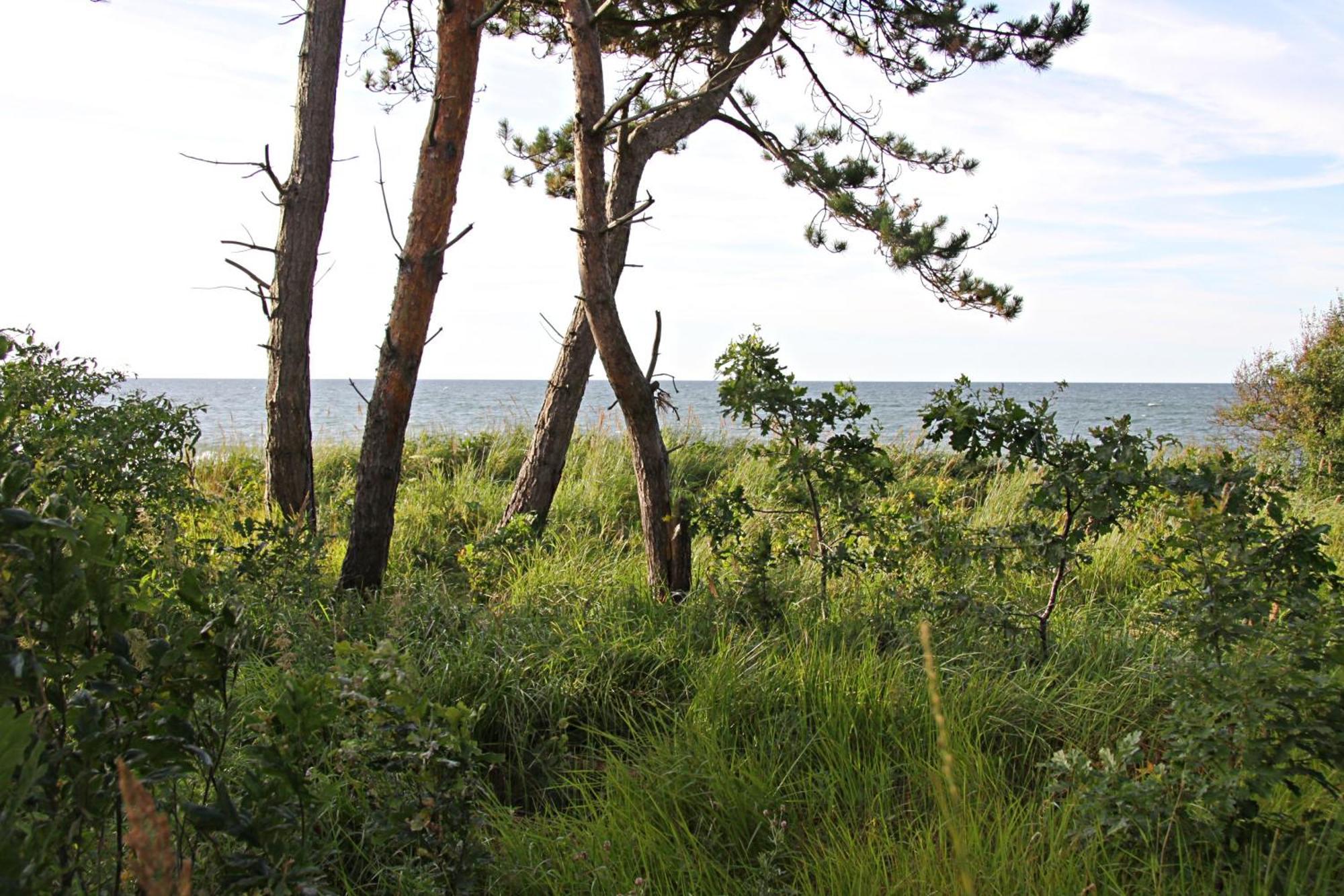 Let'S Sea - 2 Bedroom - Premium Baltic Apartment With Front Sea View Garden And Spa Access Gąski Buitenkant foto