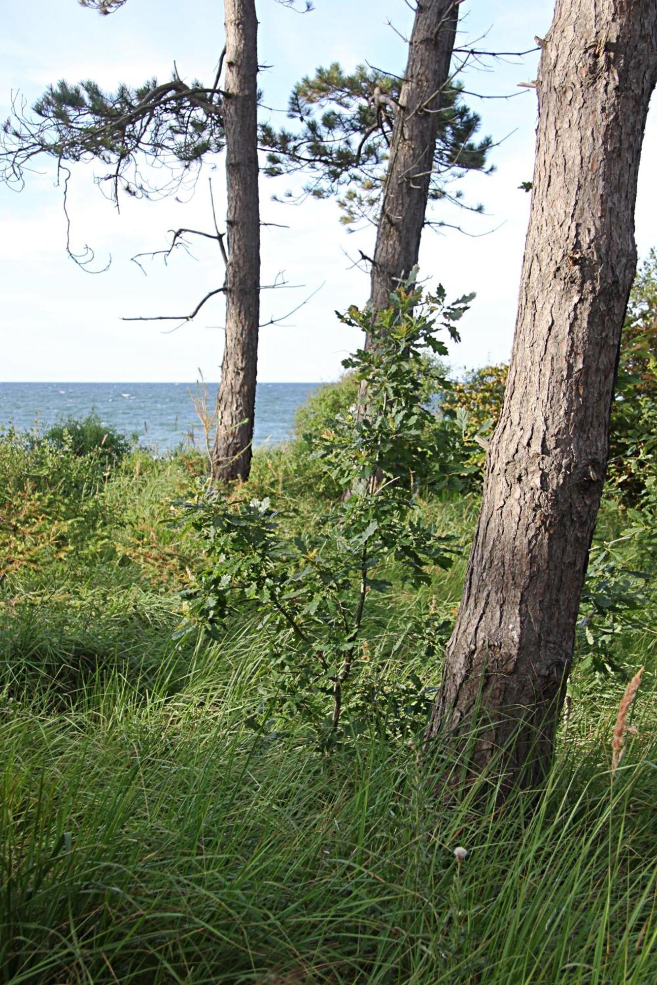 Let'S Sea - 2 Bedroom - Premium Baltic Apartment With Front Sea View Garden And Spa Access Gąski Buitenkant foto