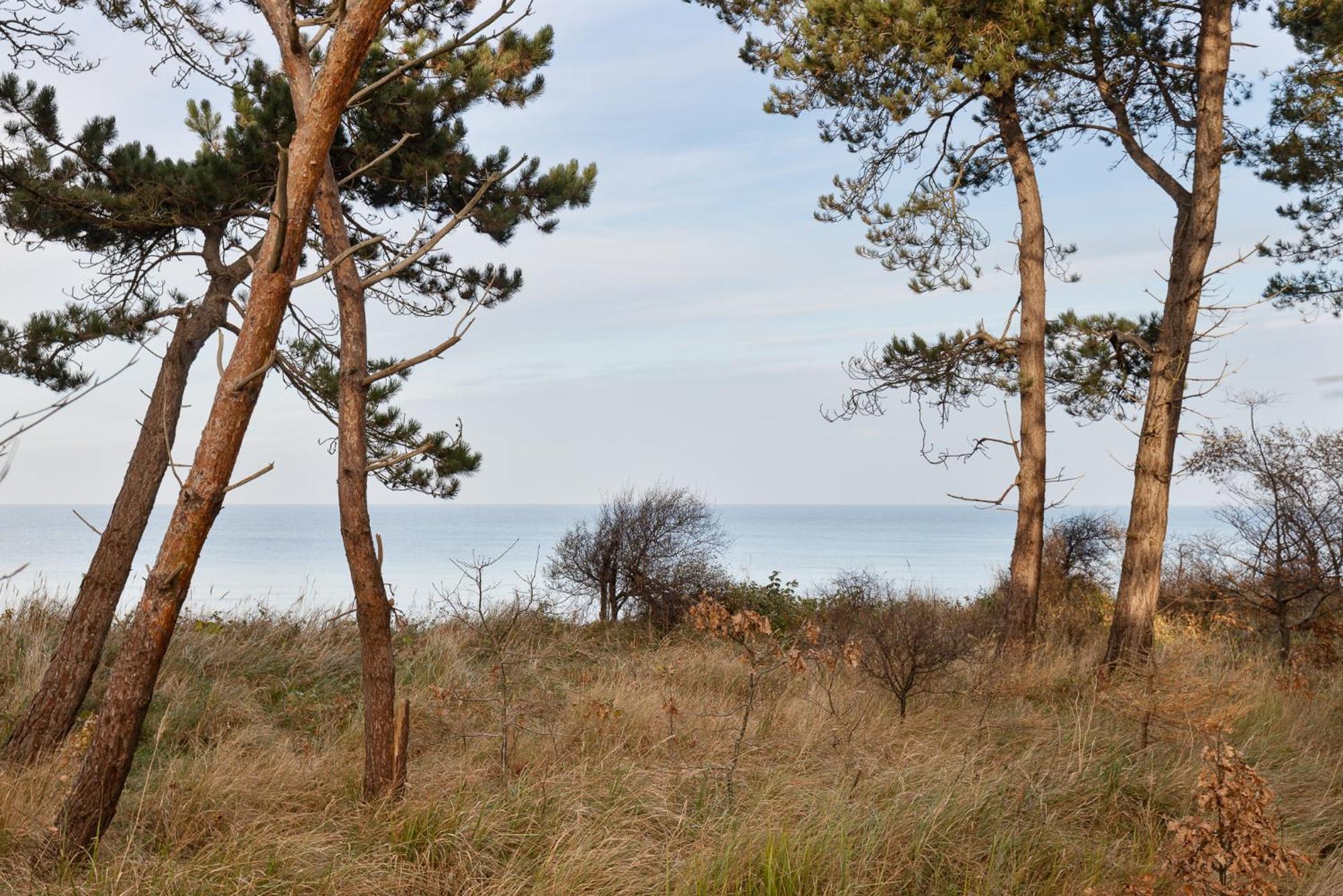 Let'S Sea - 2 Bedroom - Premium Baltic Apartment With Front Sea View Garden And Spa Access Gąski Buitenkant foto